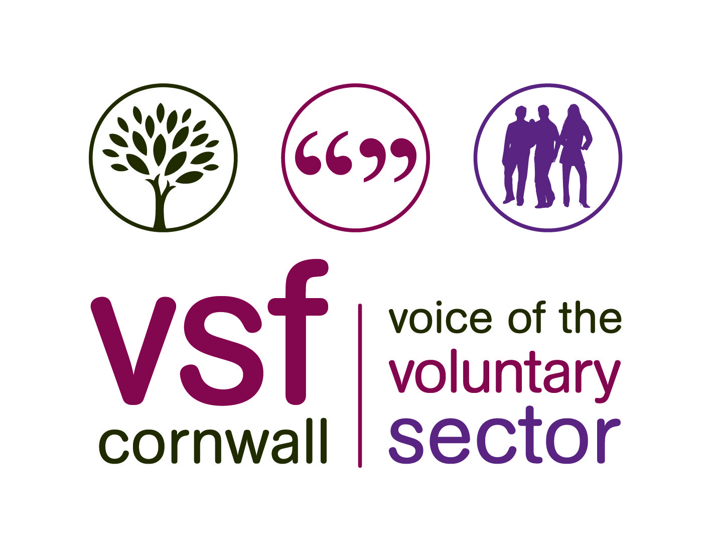 VSF logo