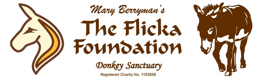 The Flicka Foundation logo