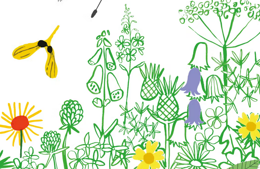 Making Space for Nature