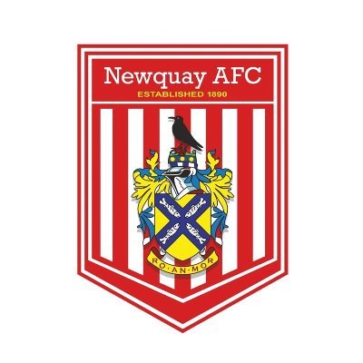 Newquay AFC logo