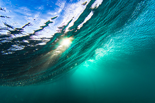Marine Conservation