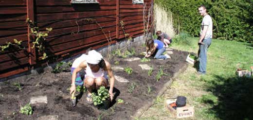 Plants for a future