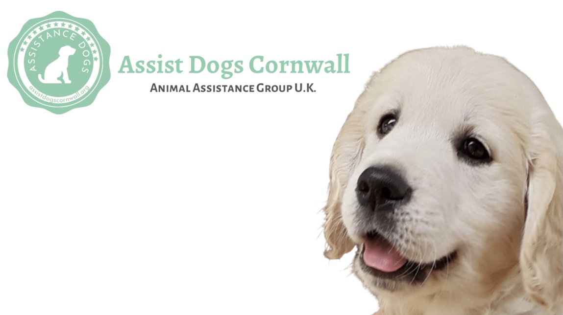 Assist Dogs Cornwall