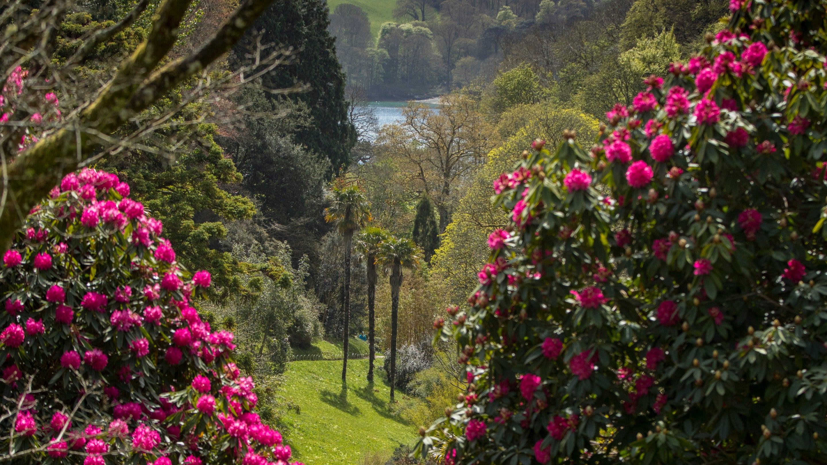 Glendurgan Garden