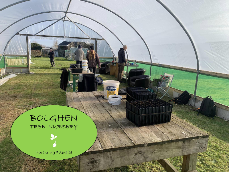 Bolghen Tree Nursery