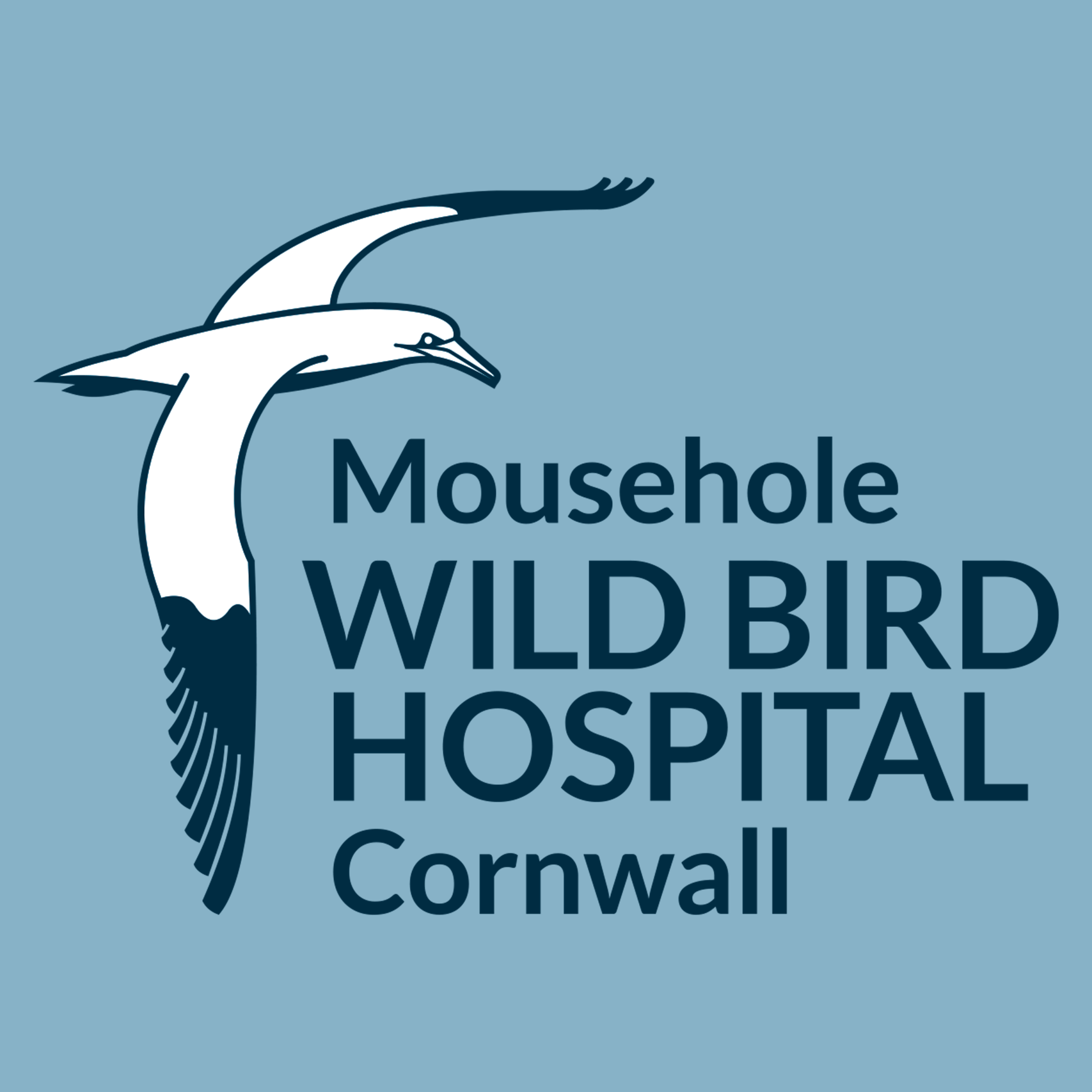 Mousehole Wild Bird Hospital Logo