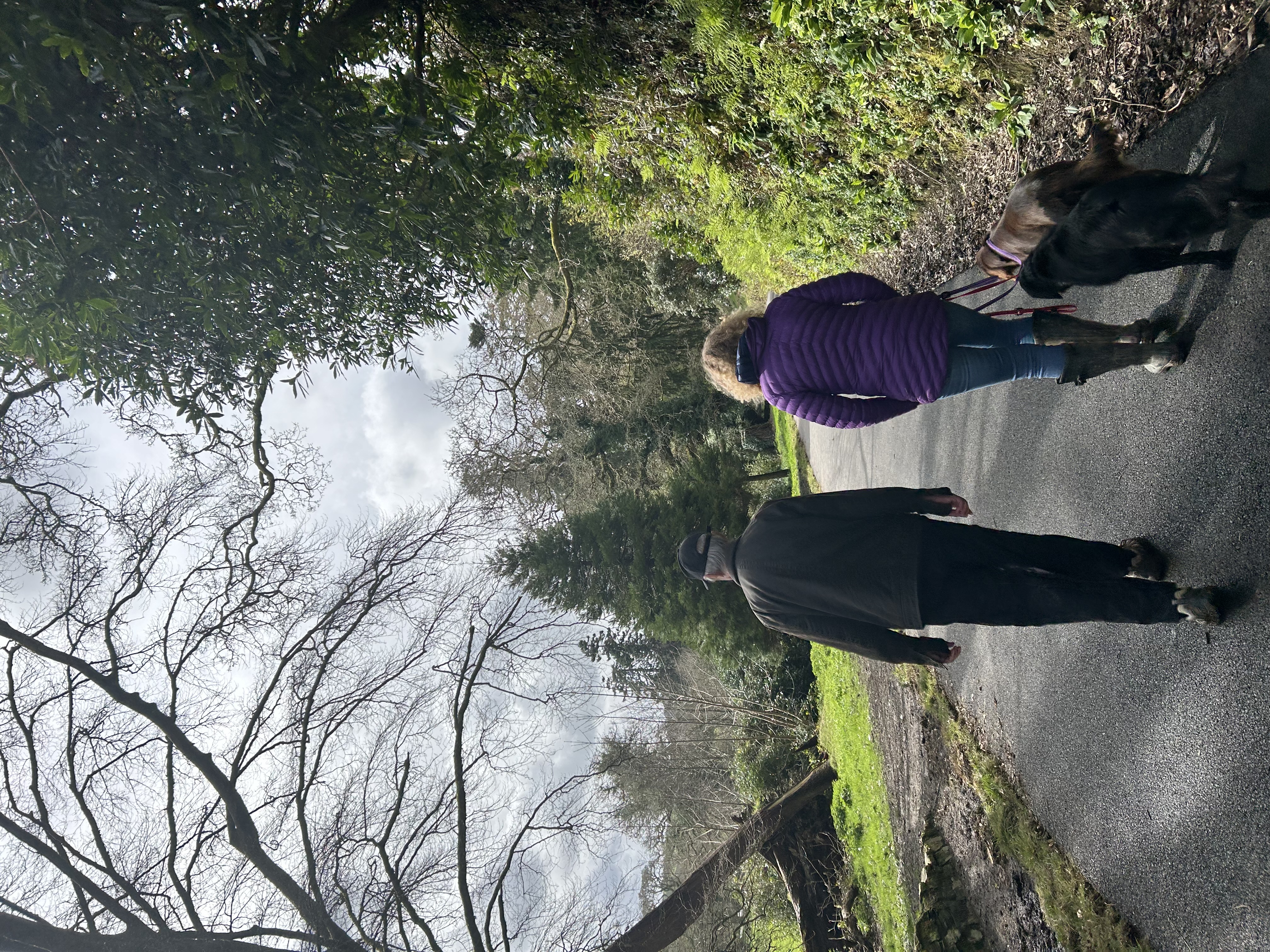 two people walking together 