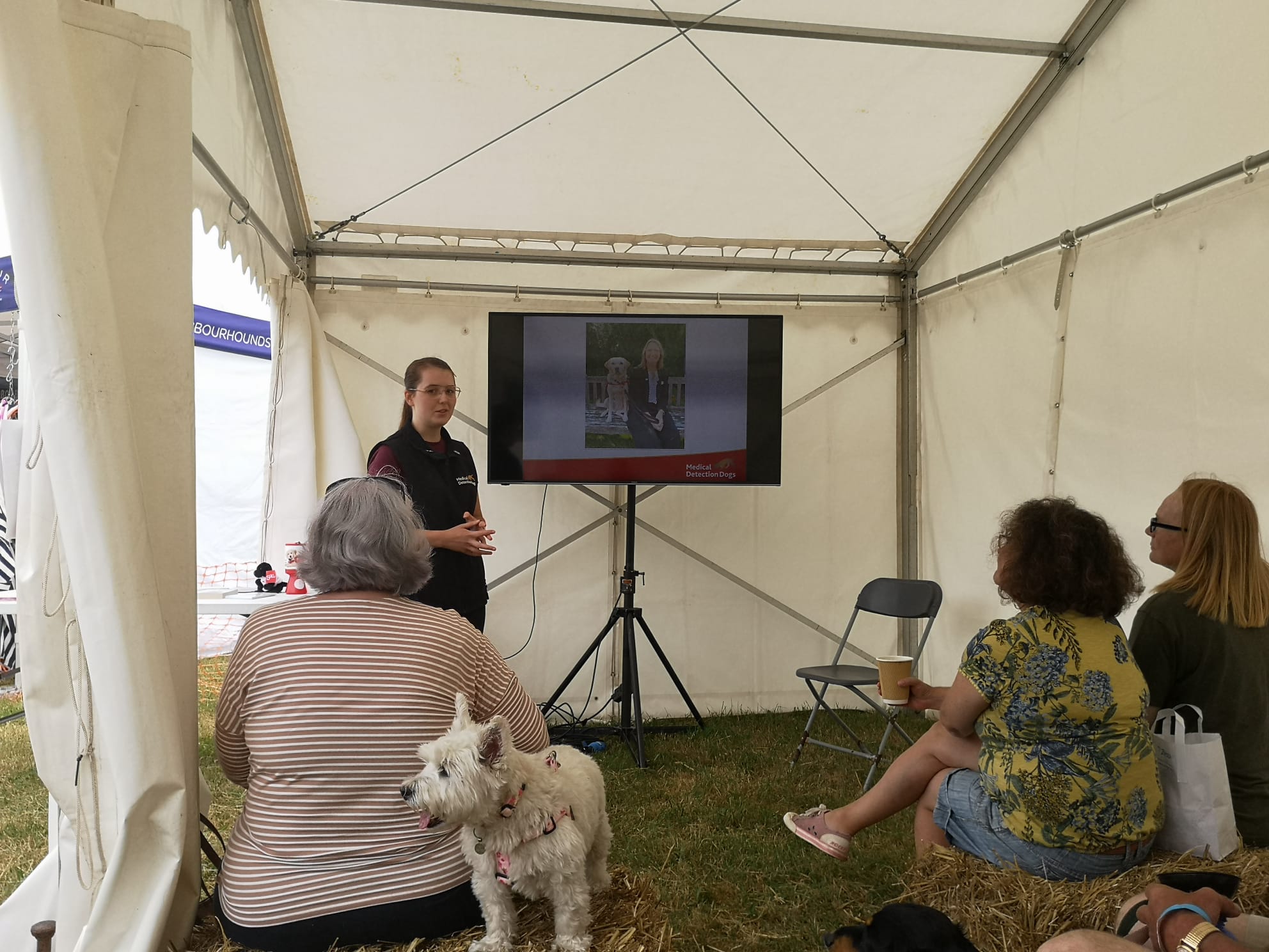 Image of 4 people in an open white gazebo. There is a person standing at the front in a medical detection dogs uniform delivering a talk using a tv screen displaying slides. The other three people are sat on hay bales with their backs to the camera watching along. There is also a white dog who is facing out of the tent.