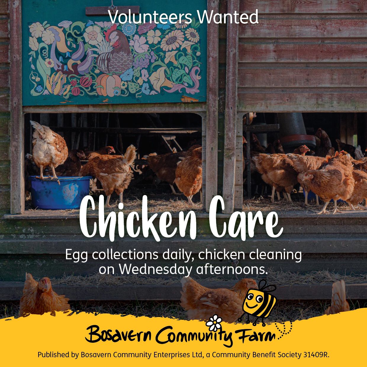 Chicken Care volunteering Community Farm 