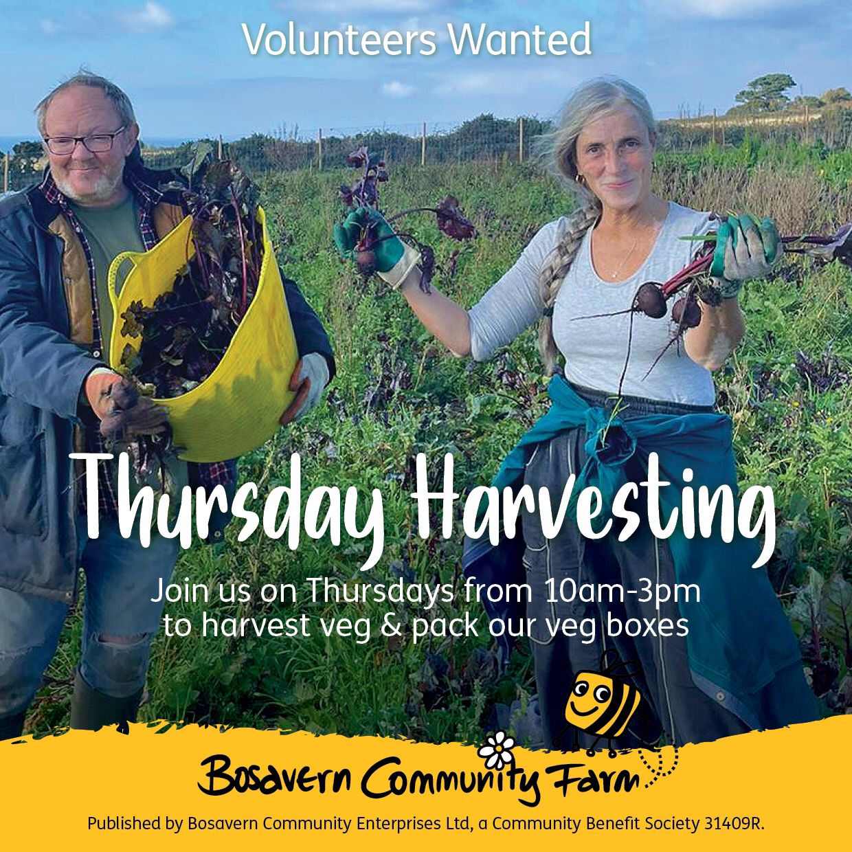 Thursday Harvesting Volunteering Community Farm