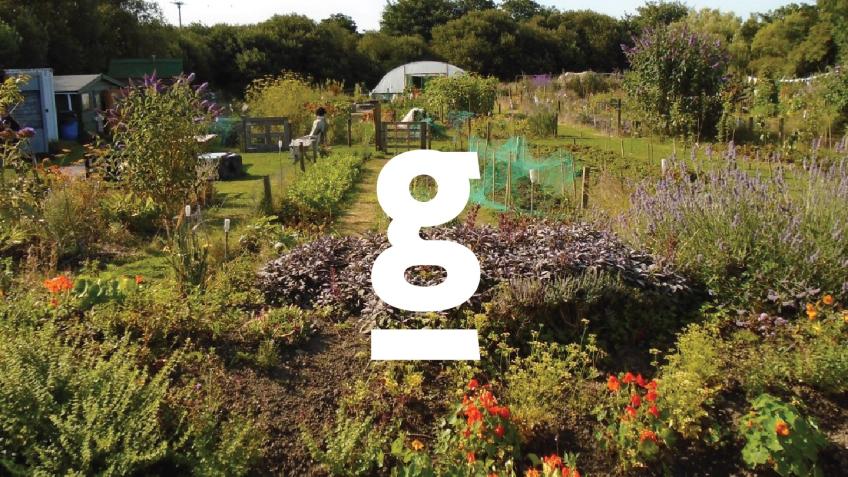 Growing Links Community Garden