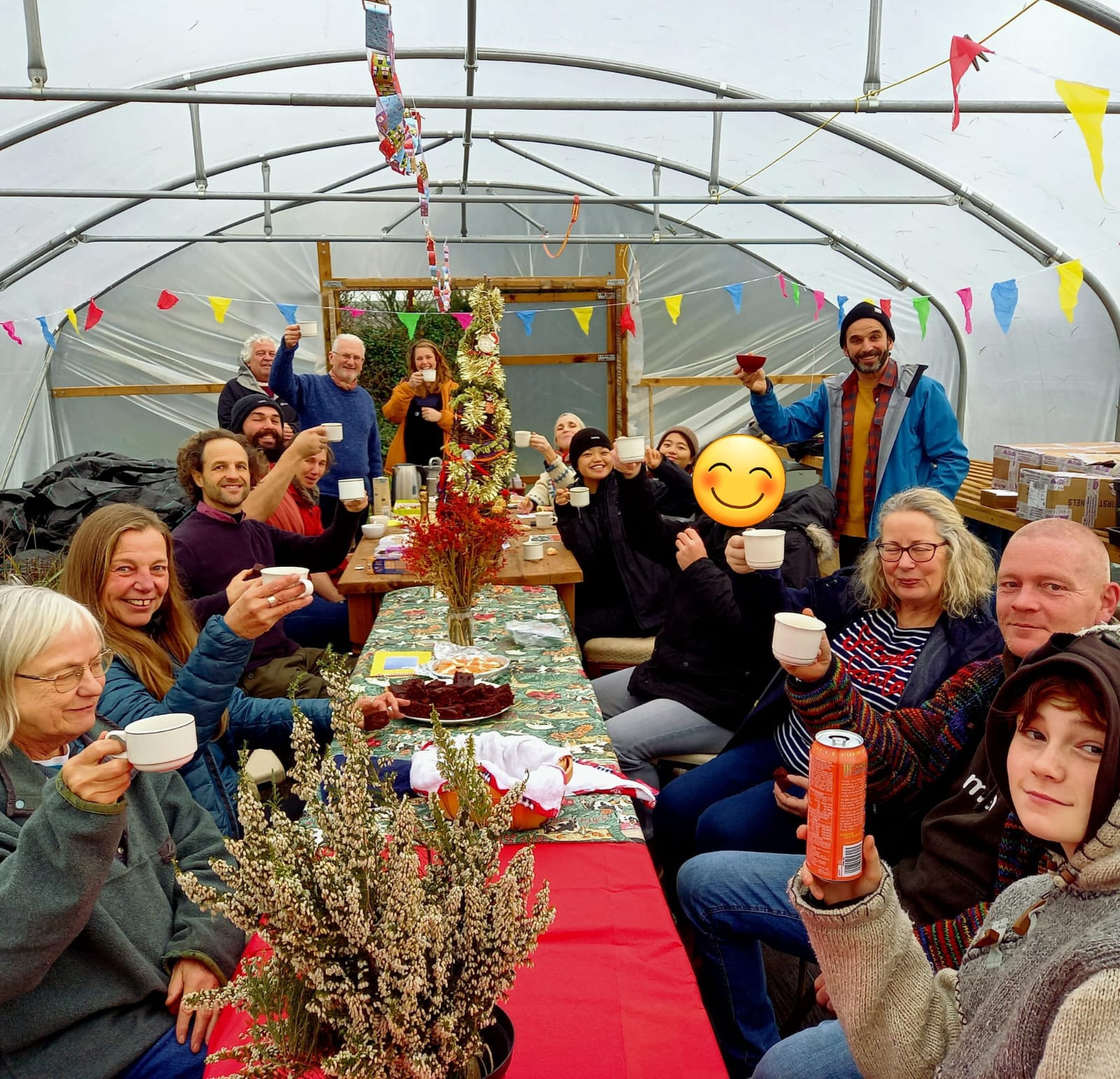 Teabreak photo