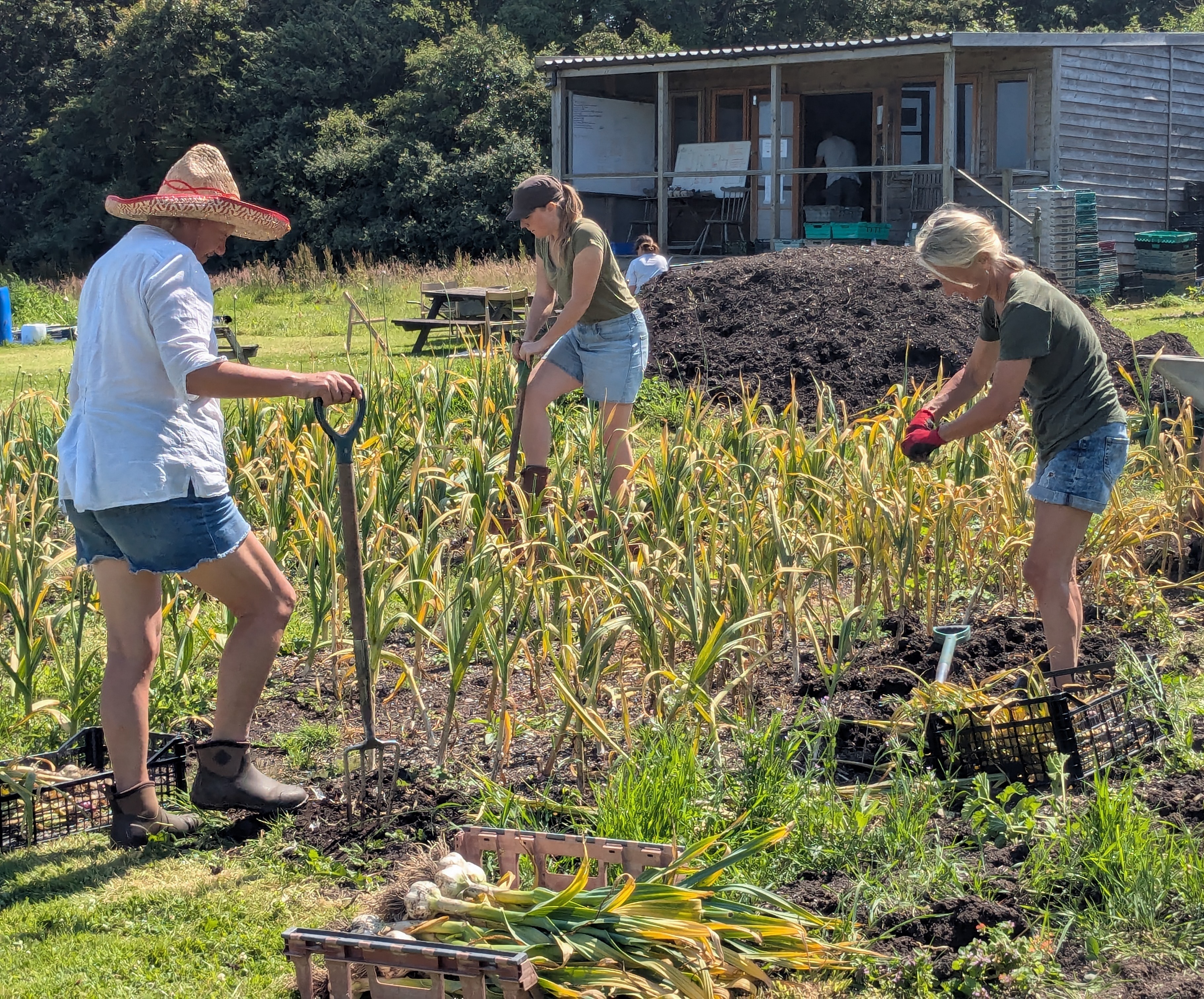 Working and growing together...