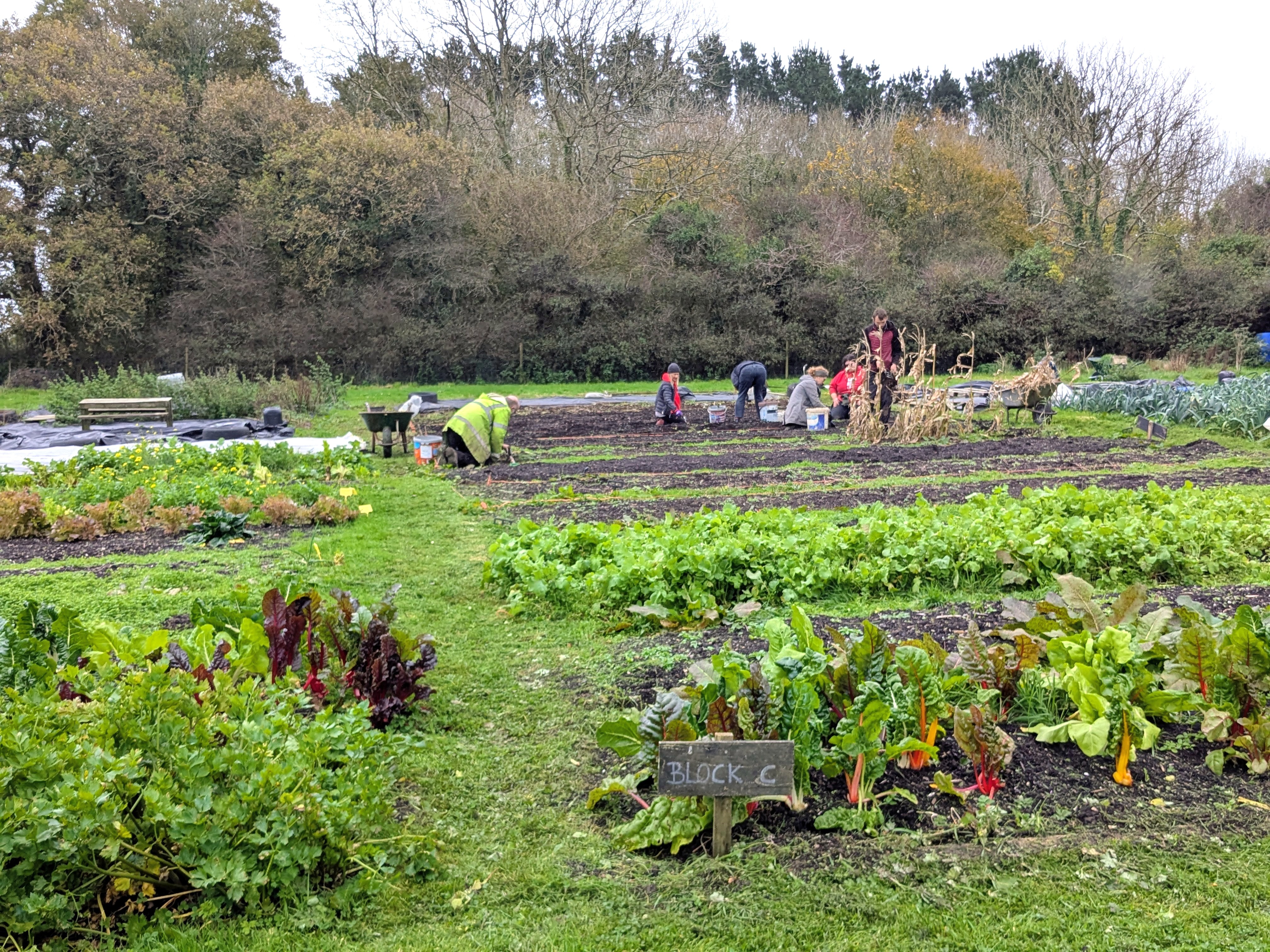 Working and growing together...