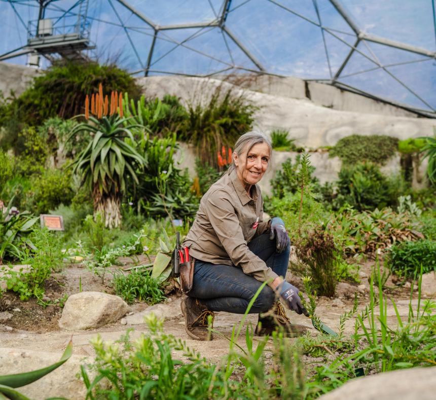 One of our horticulturists tending our biomes
