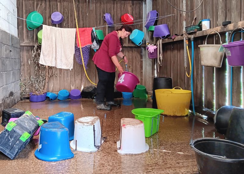 Cleaning feeding buckets at The Hugs Foundation