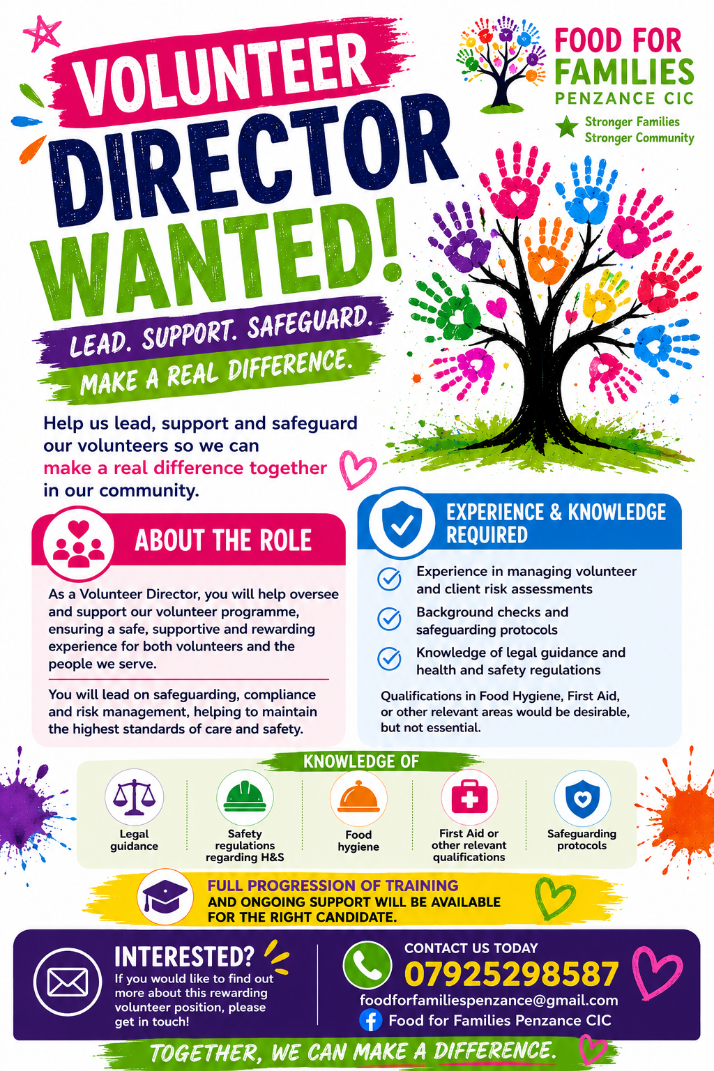 Volunteer director 