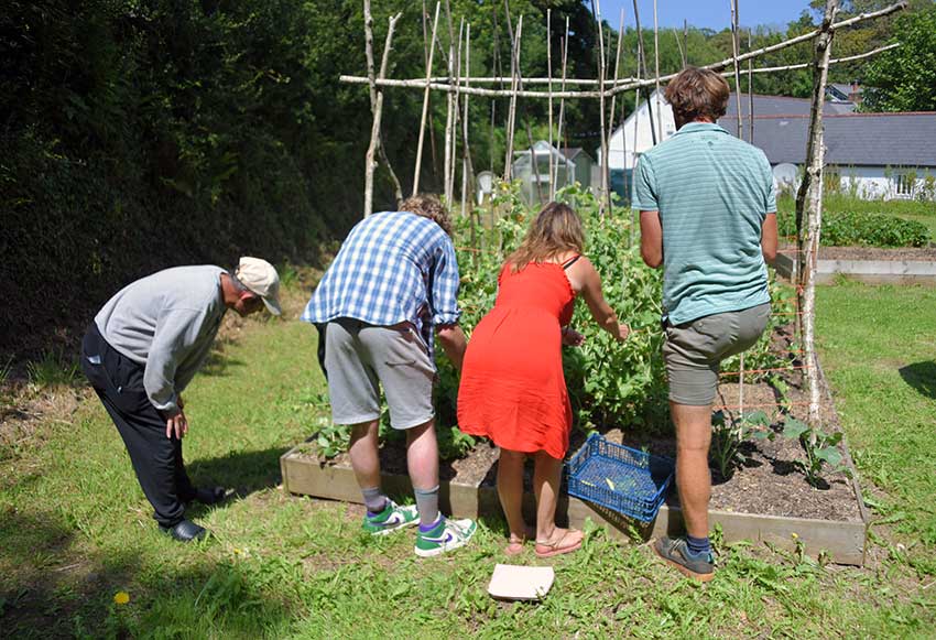 Volunteers Gardening at Bosence
