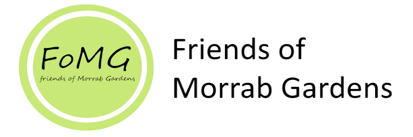 A banner logo showing, to the left, a green circle containg the initials "FoMG" followed on the right by the words "Friends of Morrab Gardens"
