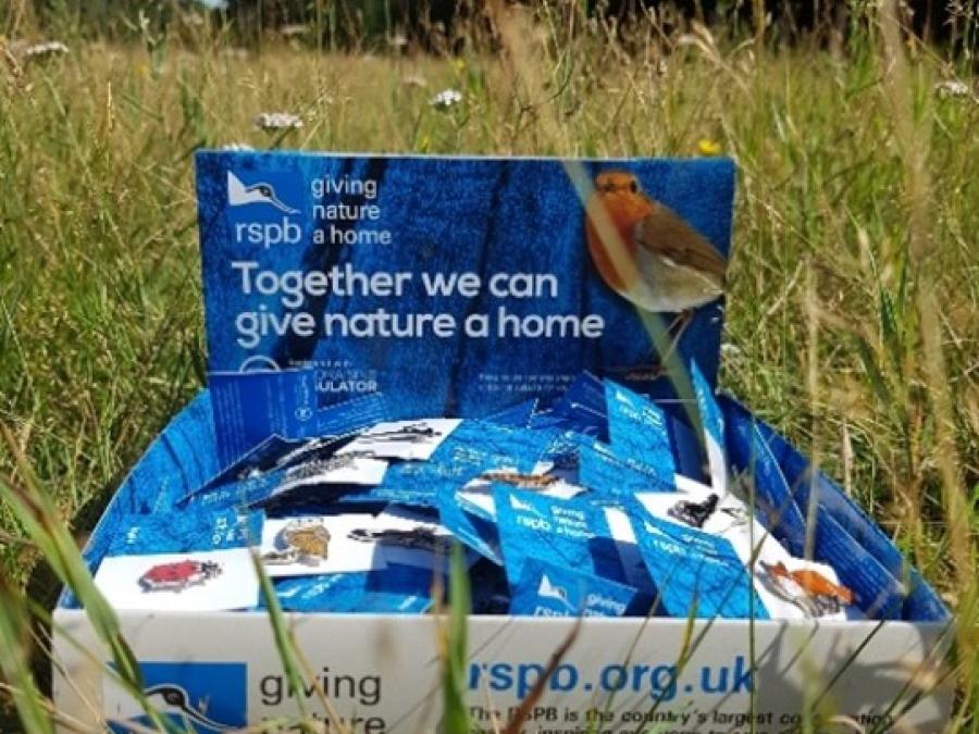 An example of a RSPB pin badge box
