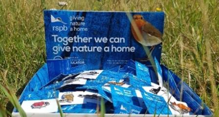 An example of a RSPB pin badge box