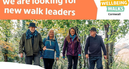 Wellbeing Walks