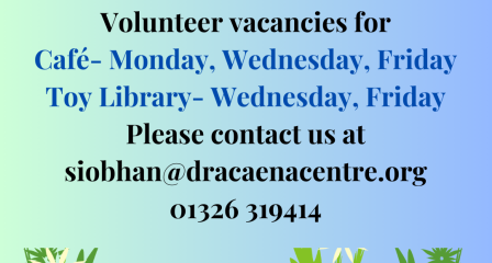 Dracaena Volunteers