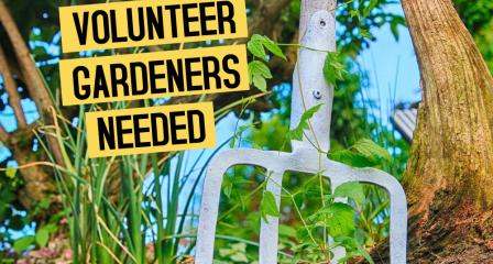 Volunteers needed for gardening and park maintenance at The Princess May Recreation Ground, Penzance 