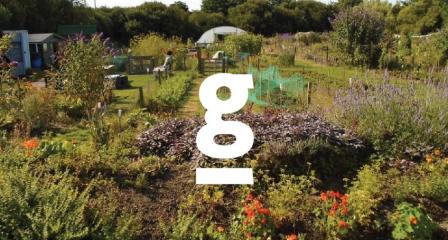 Growing Links Community Garden