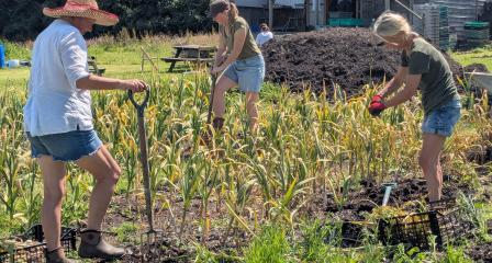 Working and growing together...