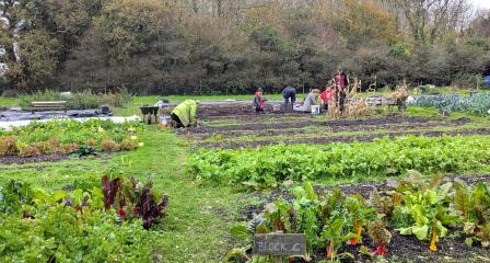 Working and growing together...