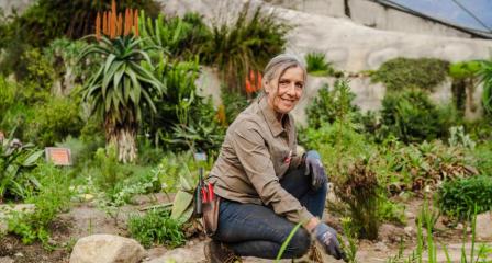 One of our horticulturists tending our biomes