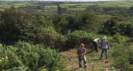 King Edward Mine Gardening team clearing gorse